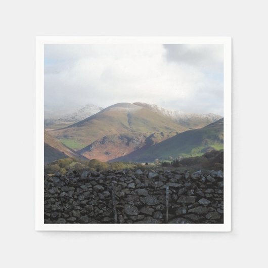 ウェールズの見解 スタンダードカクテルナプキン (正面)