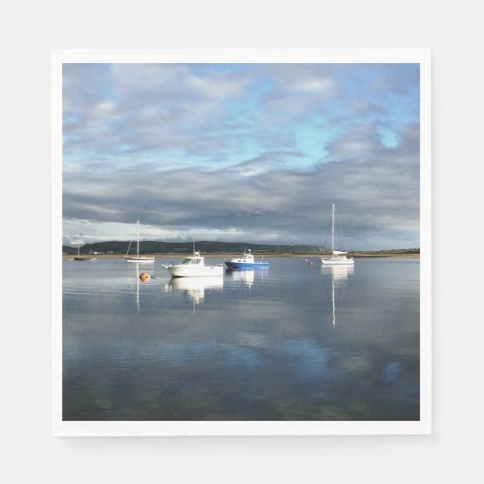 ウェールズの見解 スタンダードランチョンナプキン (正面)