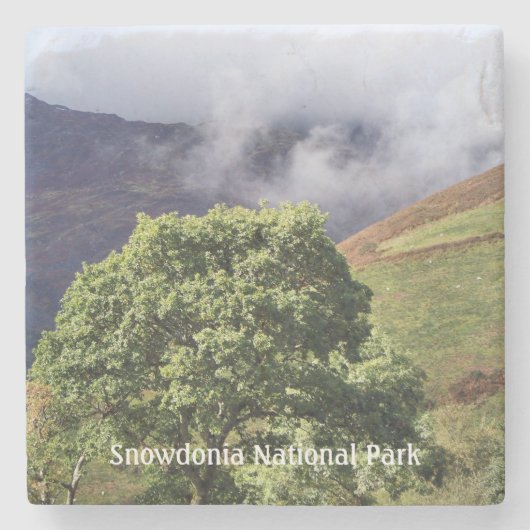 ウェールズの見解 ストーンコースター (正面)