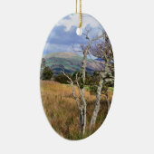 ウェールズの見解 セラミックオーナメント (右)