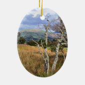 ウェールズの見解 セラミックオーナメント (裏面)