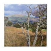 ウェールズの見解 タイル (正面)