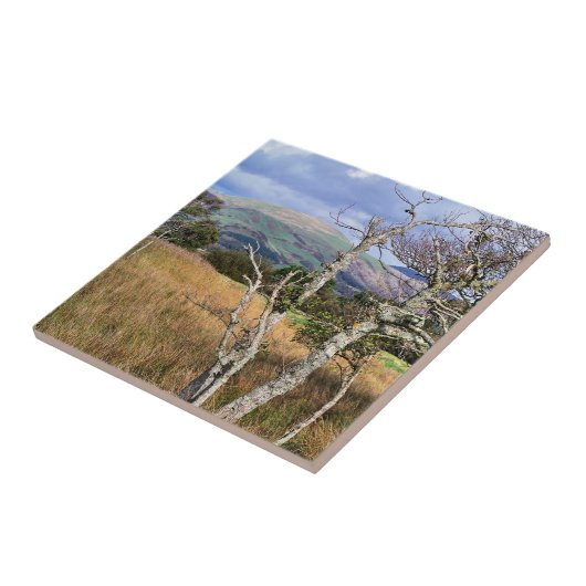 ウェールズの見解 タイル (側面)