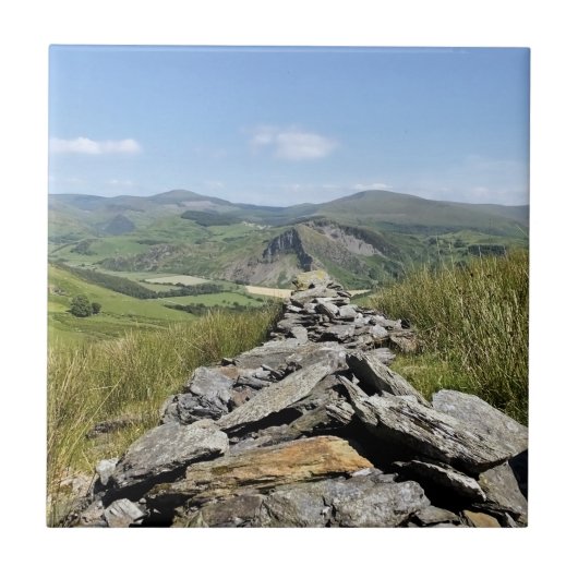 ウェールズの見解 タイル (正面)