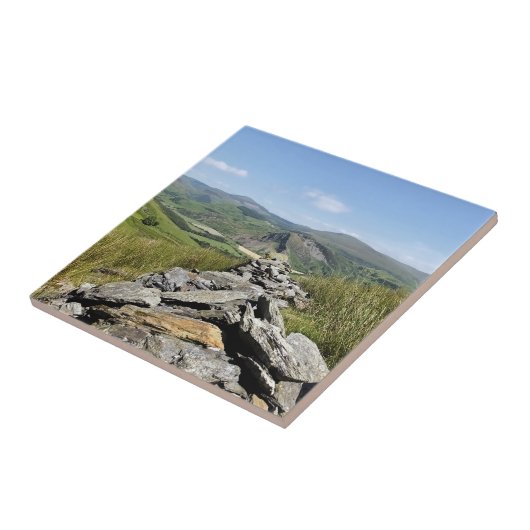 ウェールズの見解 タイル (側面)