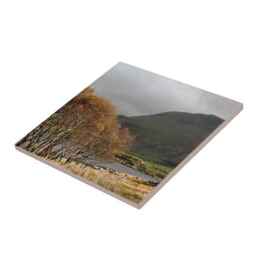 ウェールズの見解 タイル (側面)