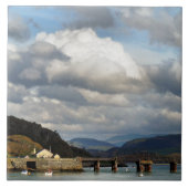 ウェールズの見解 タイル (正面)