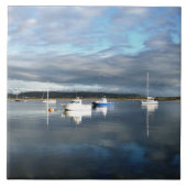 ウェールズの見解 タイル (正面)