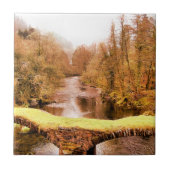 ウェールズの見解 タイル (正面)