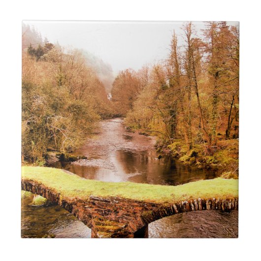 ウェールズの見解 タイル (正面)