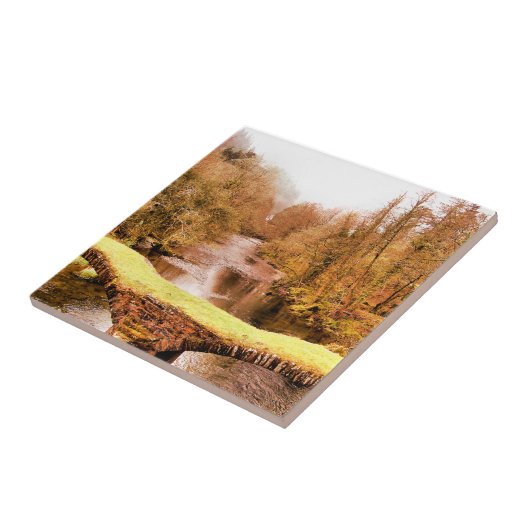 ウェールズの見解 タイル (側面)