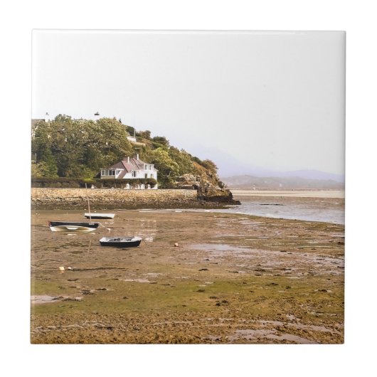 ウェールズの見解 タイル (正面)