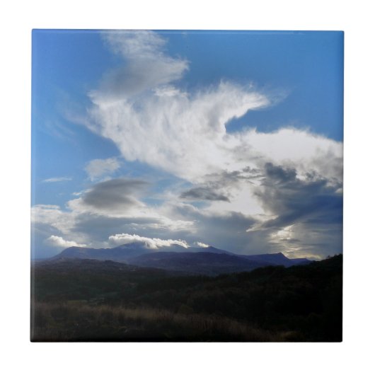 ウェールズの見解 タイル (正面)