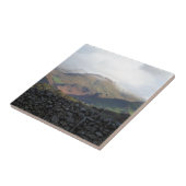 ウェールズの見解 タイル (側面)