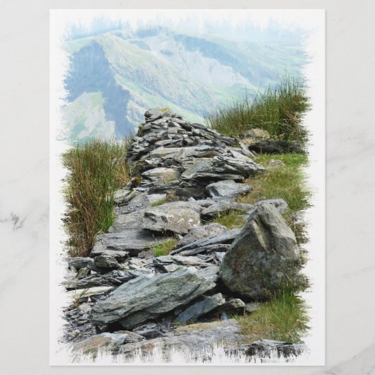 ウェールズの見解 チラシ (正面)