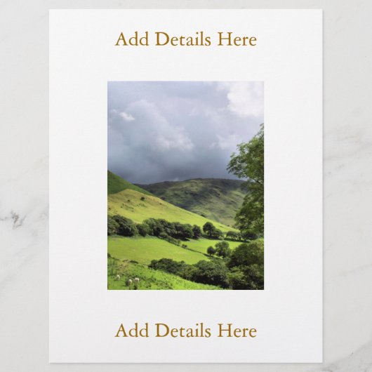 ウェールズの見解 チラシ (正面)