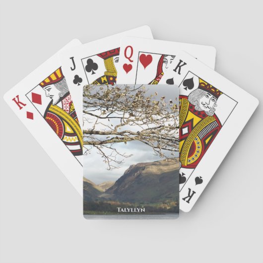 ウェールズの見解 トランプ (裏面)