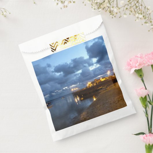 ウェールズの見解 フェイバーバッグ (封をした状態)