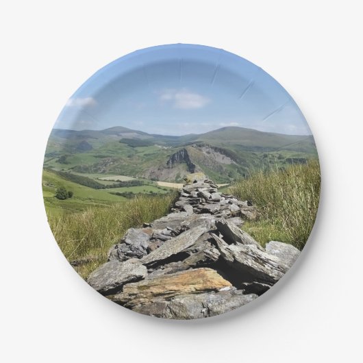 ウェールズの見解 ペーパープレート (正面)