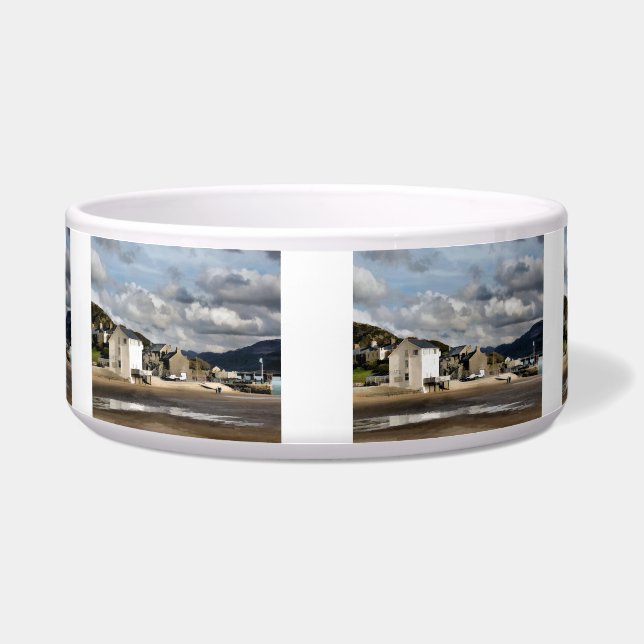 ウェールズの見解 ボウル (正面)