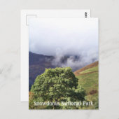 ウェールズの見解 ポストカード (正面/裏面)