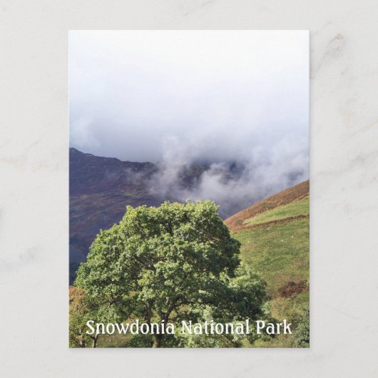 ウェールズの見解 ポストカード (正面)