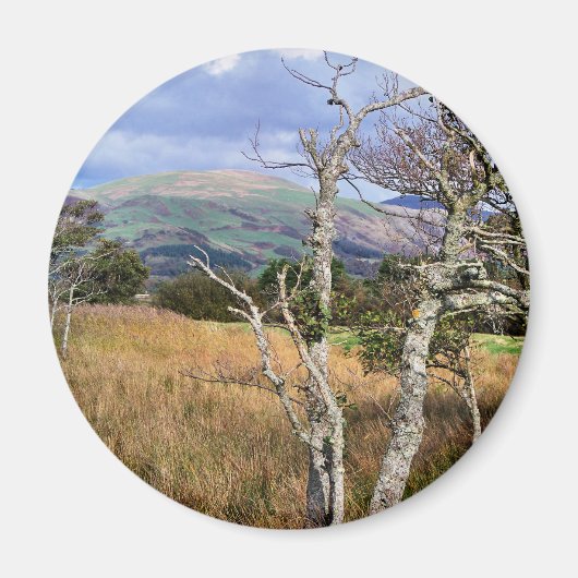 ウェールズの見解 マグネット (正面)