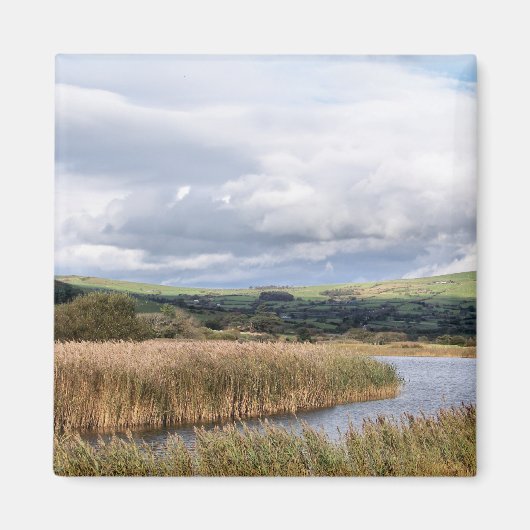 ウェールズの見解 マグネット (正面)