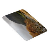 ウェールズの見解 マグネット (右側)