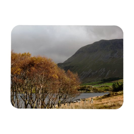 ウェールズの見解 マグネット (横)