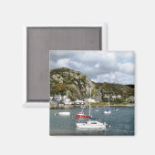 ウェールズの見解 マグネット (正面/裏面)