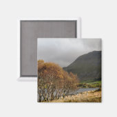 ウェールズの見解 マグネット (正面/裏面)