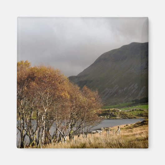 ウェールズの見解 マグネット (正面)