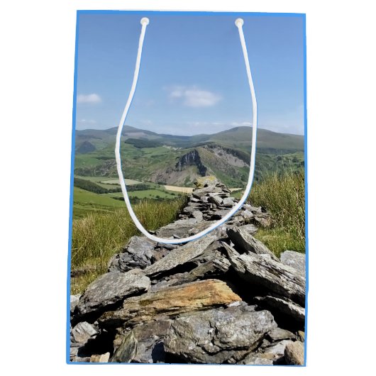 ウェールズの見解 ミディアムペーパーバッグ (裏面)