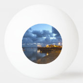 ウェールズの見解 卓球ボール (正面)