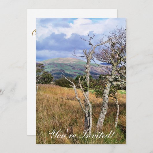 ウェールズの見解 招待状 (正面/裏面)