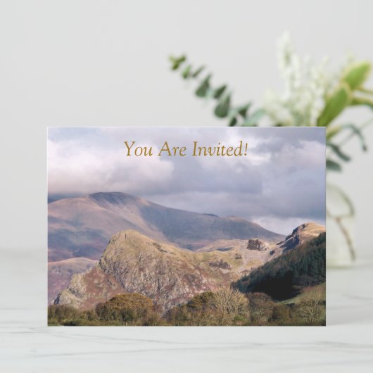 ウェールズの見解 招待状 (スタンド正面)