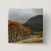 ウェールズの見解 缶バッジ (正面)