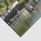 ウェールズの見解 薄葉紙 (詳細)