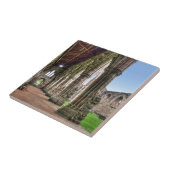 ウェールズのCistercian修道院、古代Tintern Abbey タイル (側面)