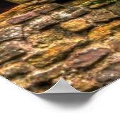 ウェールズのMonmoutshire、Chepstow Castle Window II ポスター (角)