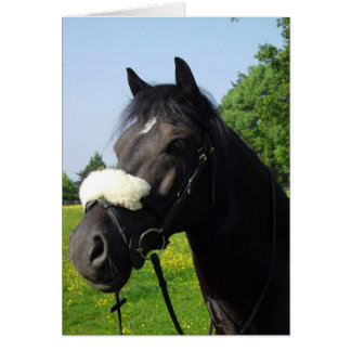 ウェールズセクションD