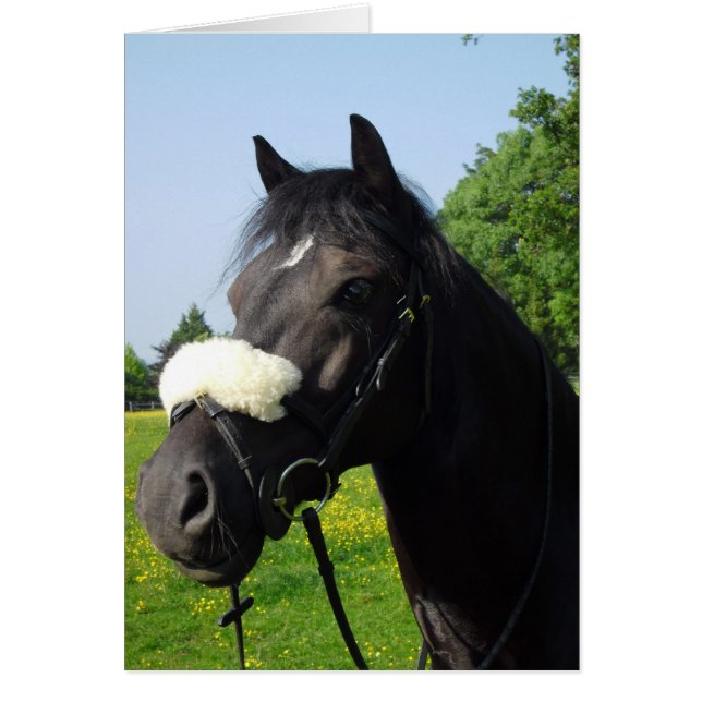 ウェールズセクションD (正面)