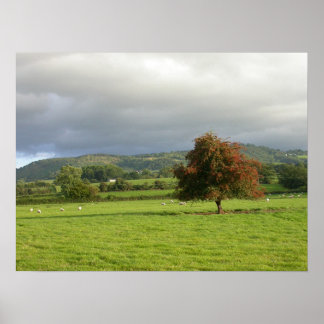 ウェールズツリー ポスター