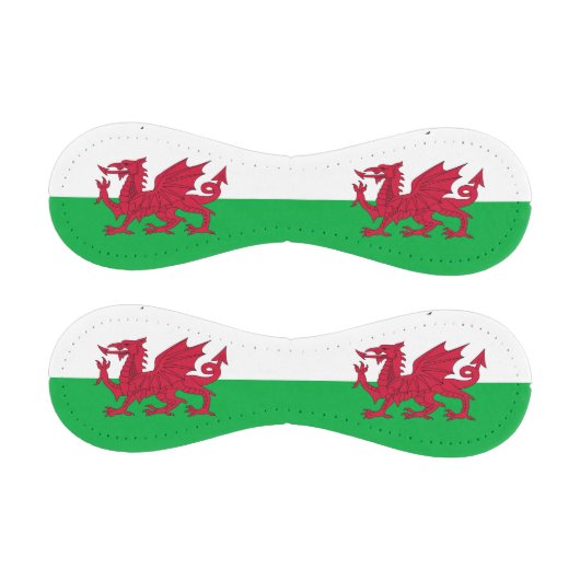 ウェールズ国旗を持つ愛国野球 野球ボール (パネル)
