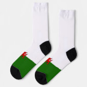 ウェールズ国旗 ソックス (左)