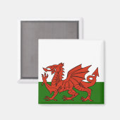 ウェールズ国旗 マグネット (正面/裏面)