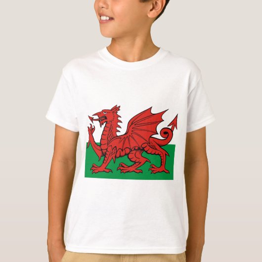 ウェールズ国旗、衣服とプライド Tシャツ (正面)