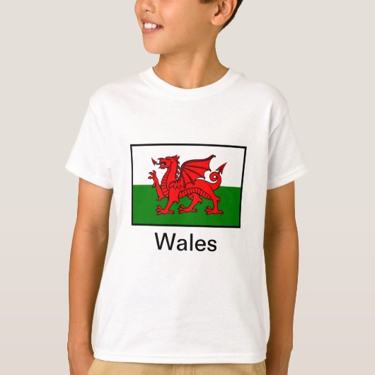 ウェールズ国旗 Tシャツ (正面)