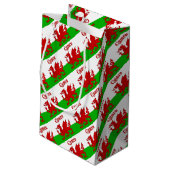 ウェールズ国旗Cymru スモールペーパーバッグ (裏面アングル)